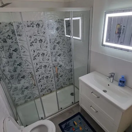 Il Pesce Fuor D'acqua 3*